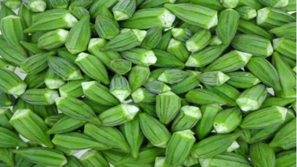 أسعار البامية