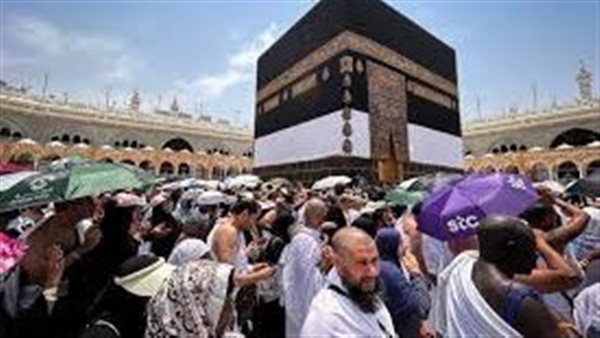 استعلم الآن عن نتيجة