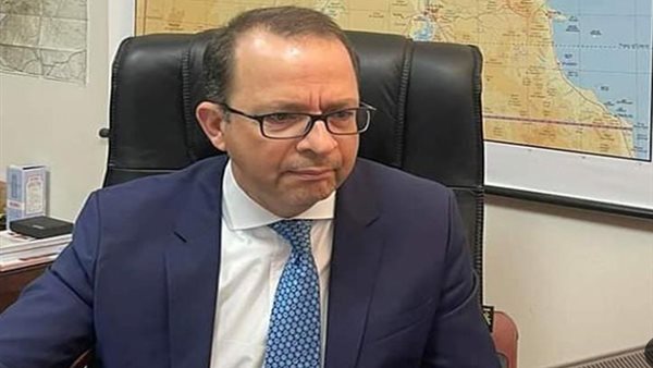  السفير الدكتور محمد