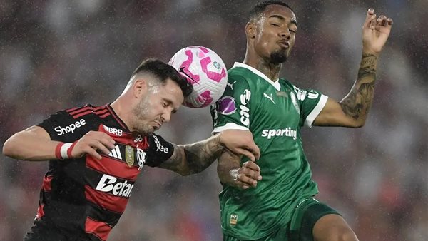 فلامنجو وبالميراس