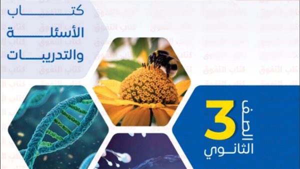 تحميل كتاب التفوق