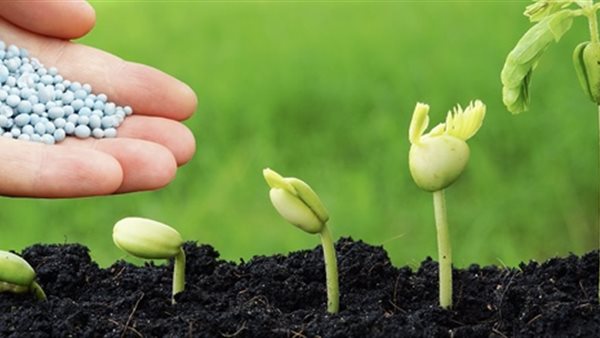 أسعار الأسمدة اليوم