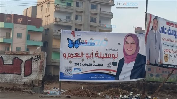 انتخابات مجلس النواب