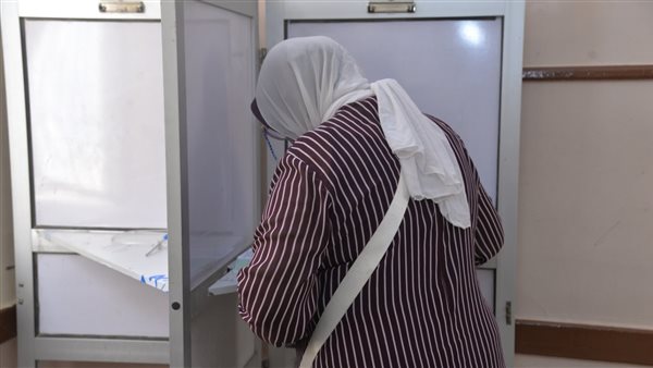 الهيئة الوطنية للانتخابات