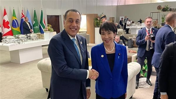 رئيس الوزراء يلتقى