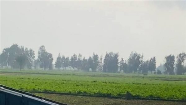 تصادم سيارة ملاكي