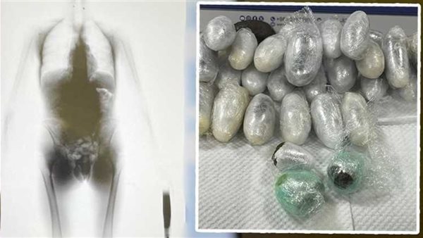 إحباط محاولة تهريب