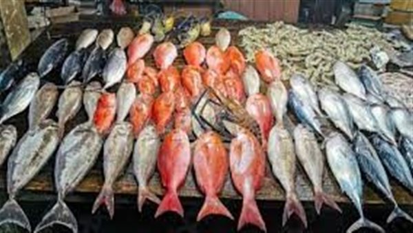 أسعار السمك اليوم