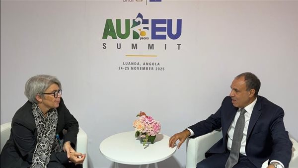 وزير الخارجية يلتقي