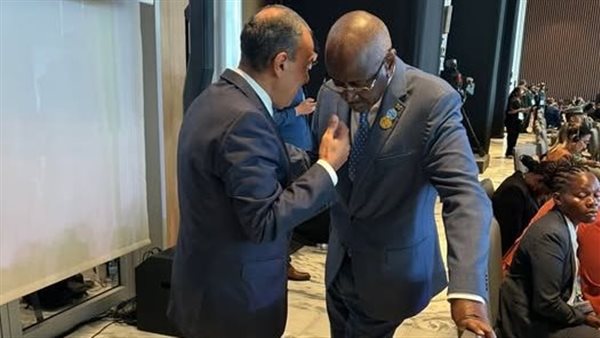 وزير الخارجية يلتقي