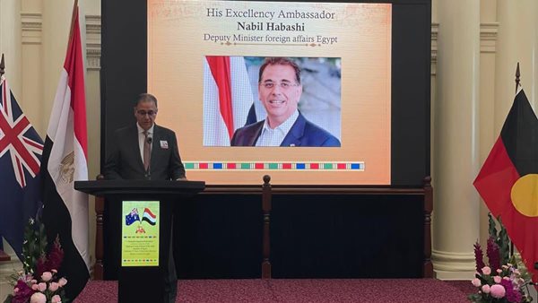  السفير نبيل حبشى