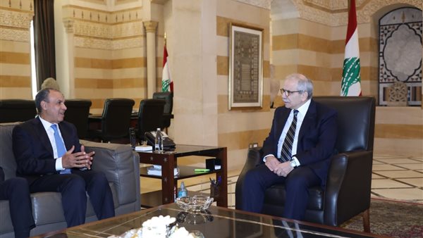 وزير الخارجية يلتقي