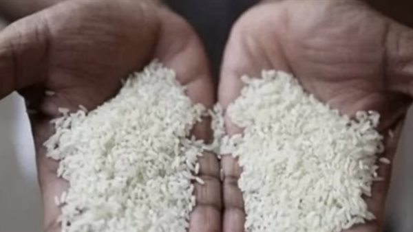 أسعار الأرز اليوم