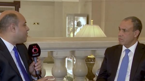  وزير الخارجية المصري