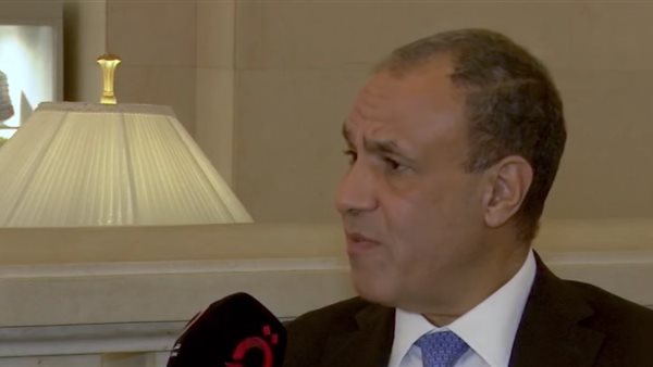 بدر عبد العاطي