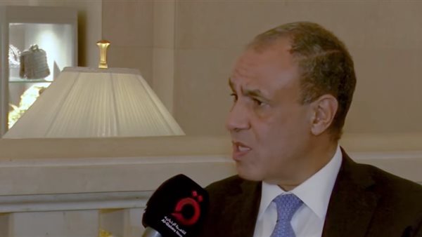  وزير الخارجية المصري