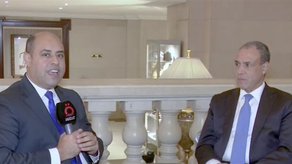 وزير الخارجية المصري