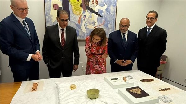  السفير نبيل حبشى