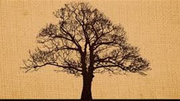  ما هو علم الأنساب