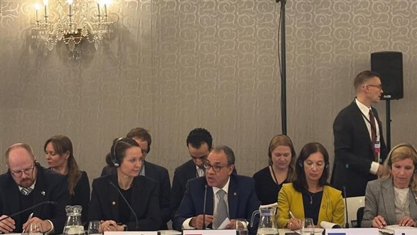 وزير الخارجية يشارك