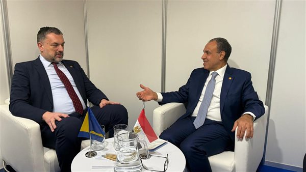 وزير الخارجية يلتقي