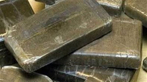 حبس عاطلين 4 أيام