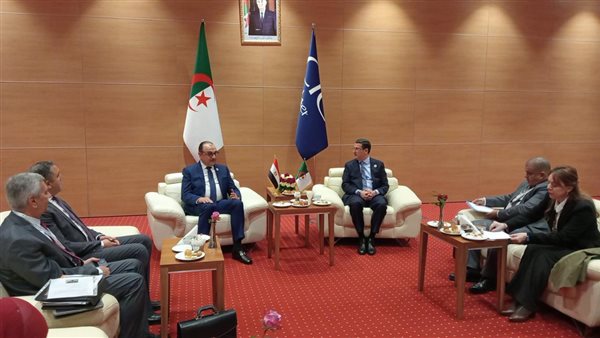  المهندس محمد شيمي