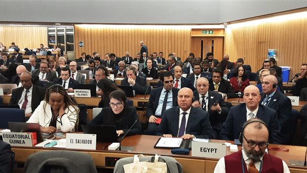 كامل الوزير 