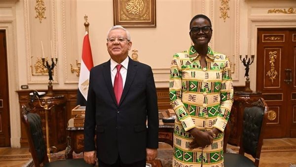  الدكتور حنفي جبالي