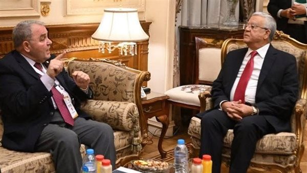 المستشار الدكتور