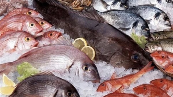 أسعار الأسماك 