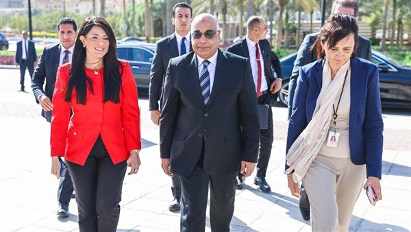 وزيرا التخطيط والعدل