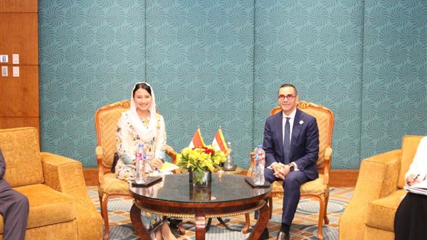 وزير الاستثمار و