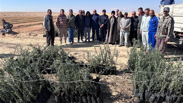 بحوث الصحراء