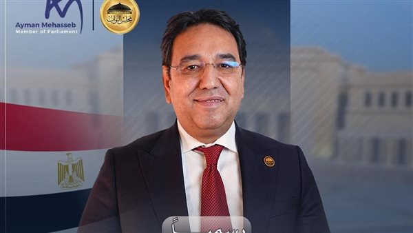 النائب أيمن محسب