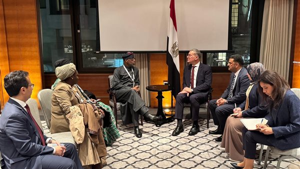  المهندس كريم بدوي