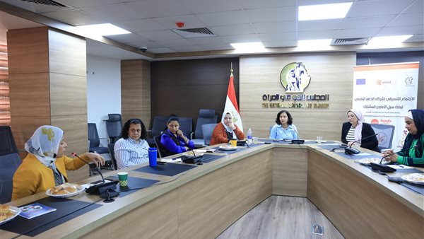  المجلس القومي للمرأة