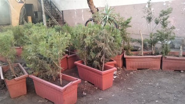 حي غرب سوهاج