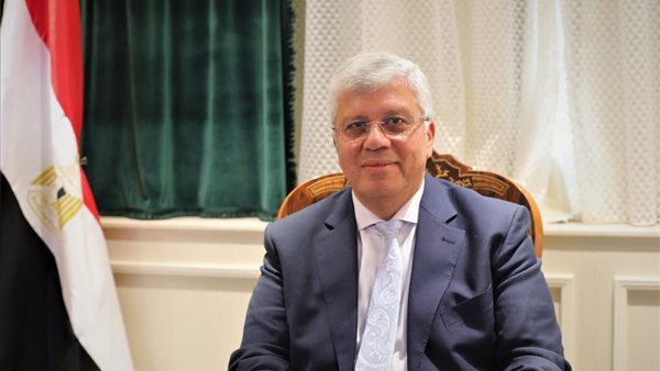 الدكتور أيمن عاشور