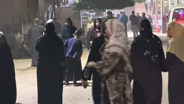 انتخابات مجلس النواب