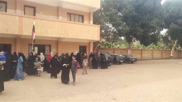 انتظام التصويت في