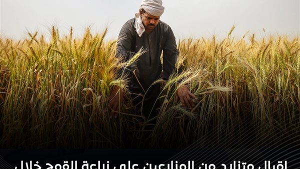 صورة موضوعية