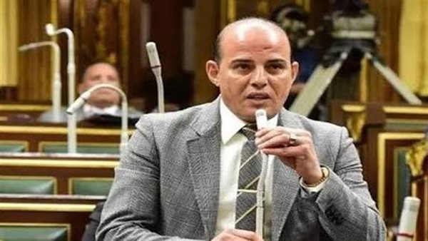 النائب عمرو القطامي