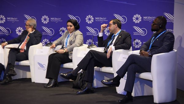 النائبة أميرة صابر