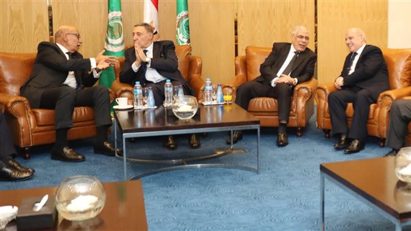 المستشار محمد الشناوي