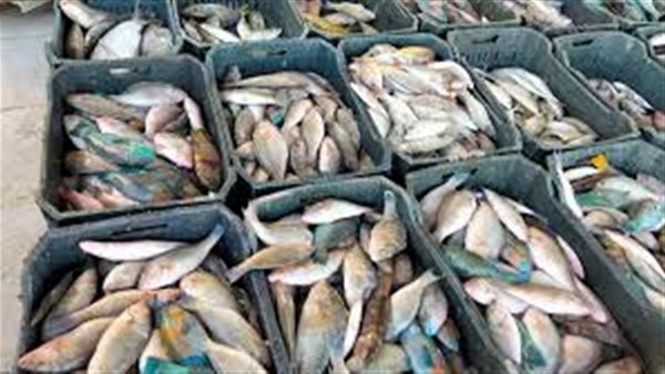 تحركات جديدة في اسعار