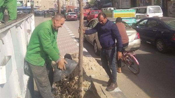 استمرار أعمال التشجير