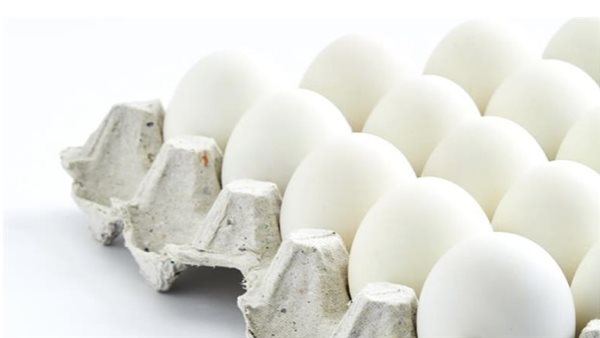 أسعار كرتونة البيض