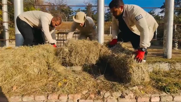 شركة حدائق لتطوير