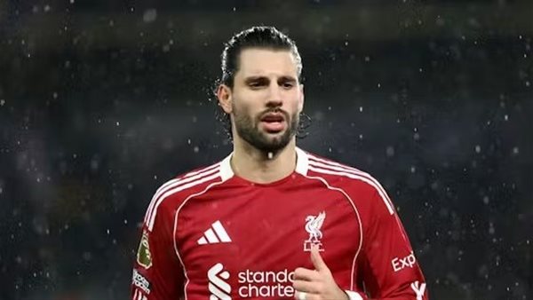 دومينيك سوبوسلاي